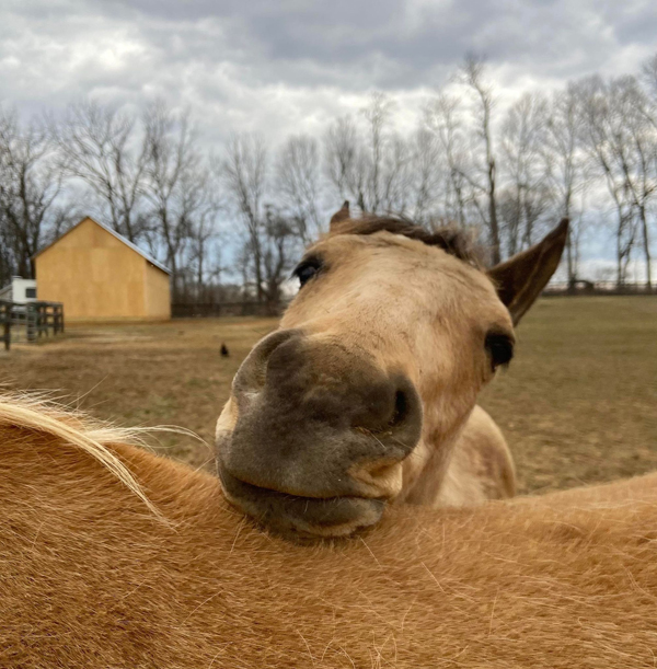 EC Photo of the Day – Pouting When Grooming is Done