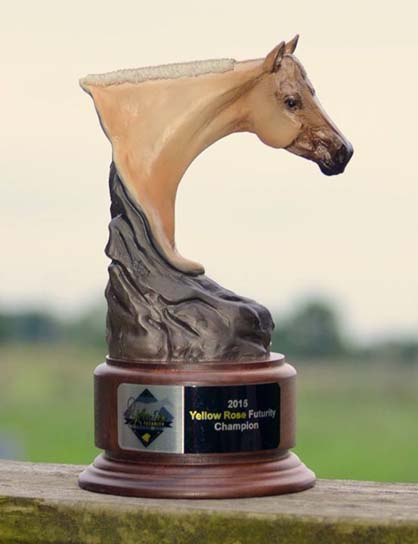 WCHA Yellow Rose “All Breed” Halter Futurity