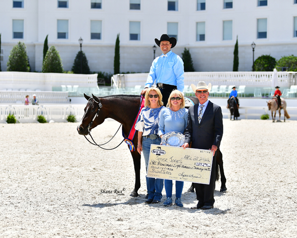 Around the Rings Photos and Results for Super Sires Limited Maturity Open Western Pleasure at A Sudden Impulse