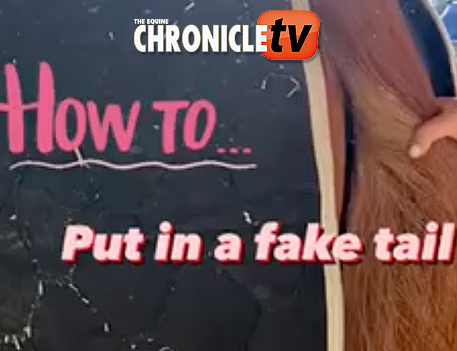 ECTV – How To Put in A Fake Tail from 17 Hands Fit