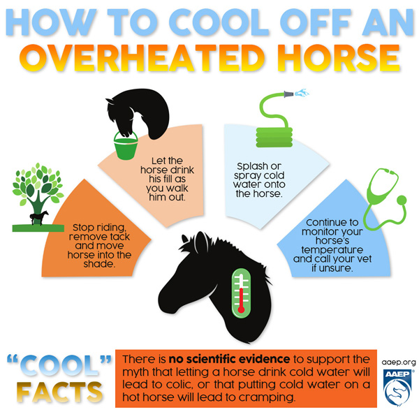 Heat Stroke Signs from American Association of Equine Practitioners