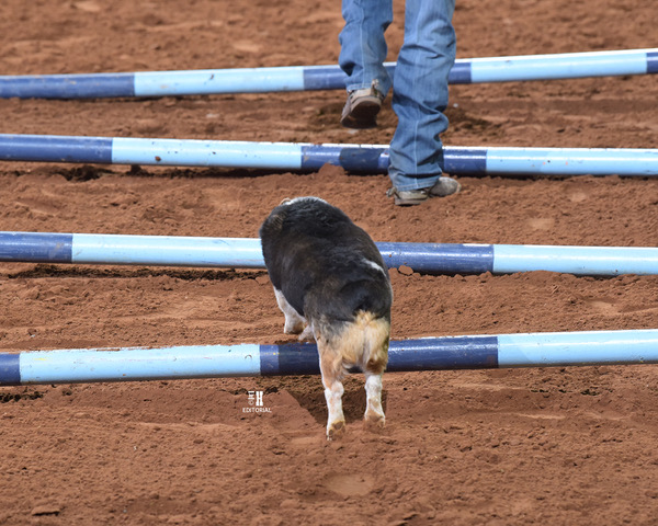 Around the Rings Photos and Results – Redbud Spectacular 2022