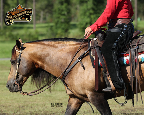Around the Rings Photos – American Ranch Horse Association World Show ...