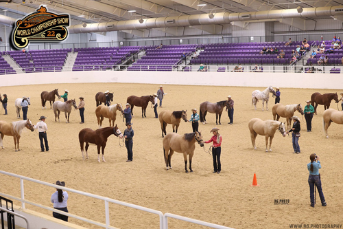 Around the Rings Photos – American Ranch Horse Association World Show ...