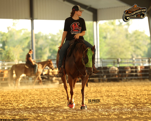 Around the Rings Photos – American Ranch Horse Association World Show ...