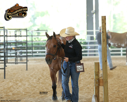 Around the Rings Photos – American Ranch Horse Association World Show ...
