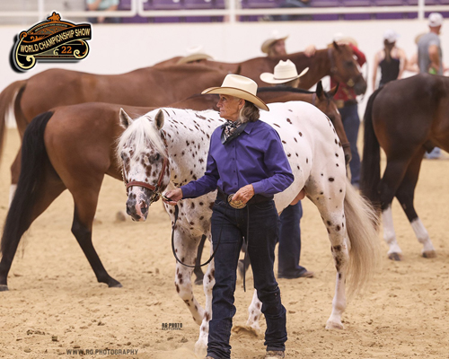 Around the Rings Photos – American Ranch Horse Association World Show ...