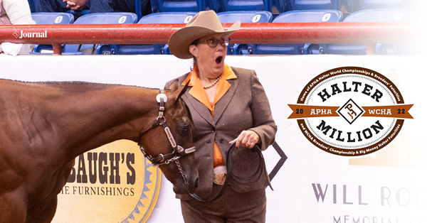 Top Horses, Breeders & Owners to be Recognized at APHA WCHA 2022 Halter Million