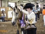 Around the Rings Photos and Results – AQHYA World Championship Show 7-31-22
