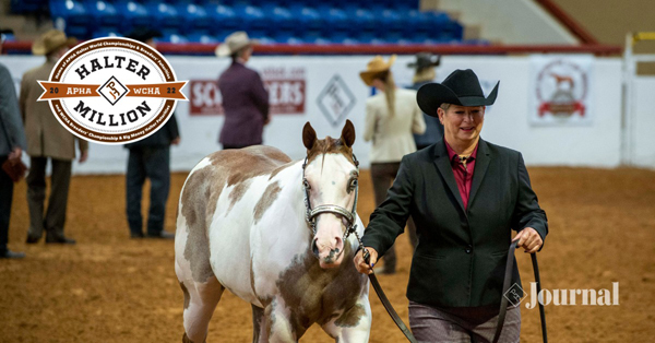2022 APHA/WCHA Halter Million Stall Maps Posted