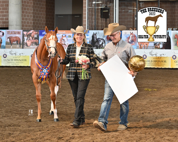 Breeders Halter Futurity Announces Great Plans for 2023