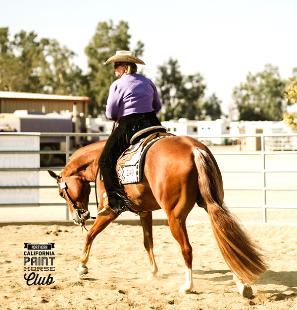 Around the Rings Photos and Results – NPHC Fall Spectacular Horse Show