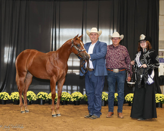 Around the Ring Photos and Results – 2022 East Coast Halter Futurity