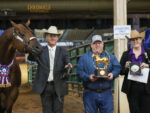 CR Peacemaker Reaches A Record in L3 Aged Stallions at 2022 AQHA World!