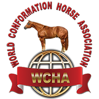 WCHA Board of Directors Elections