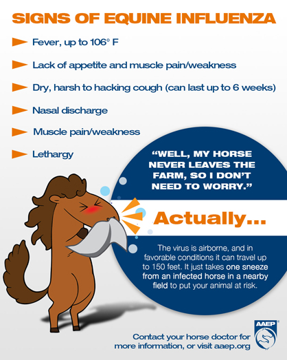 Signs of Equine Influenza from AAEP