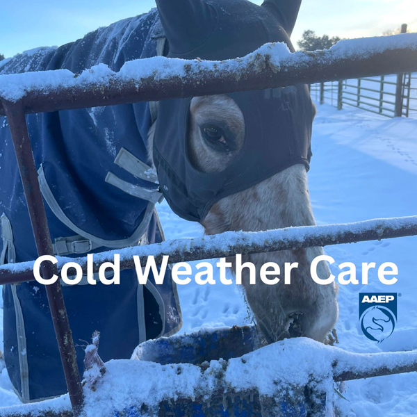 Cold Weather Care