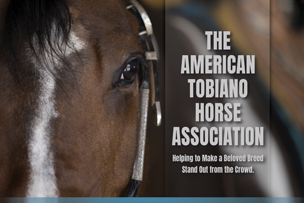 The American Tobiano Horse Association