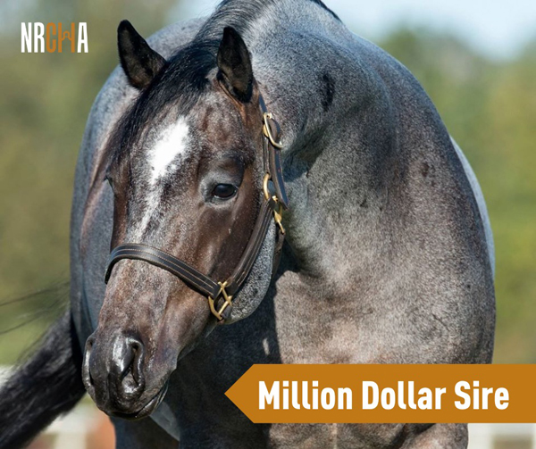 Once In A Blu Boon Joins Elite NRCHA Million Dollar Sire Club