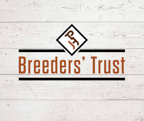 APHA Breeders’ Trust Stallion Payment Deadline January 31st
