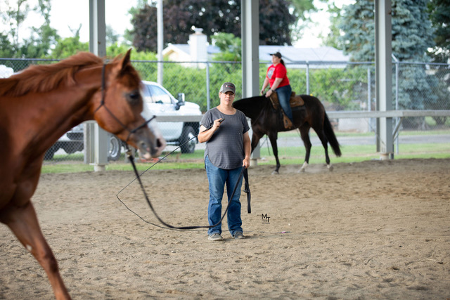 Circling Back to Joint Health in Horses