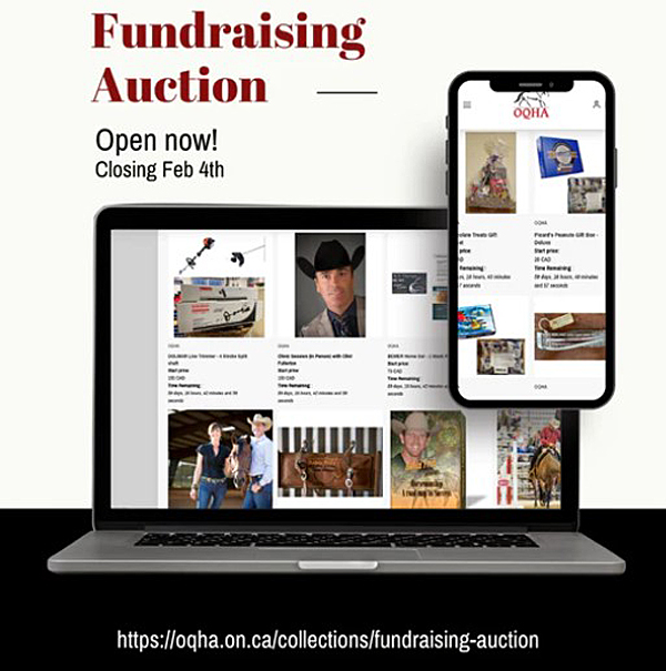 Ontario QHA Fundraising Auction Open Until February 4th