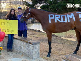 EC Video of the Day: She Said Yes!