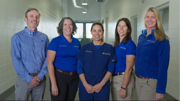 UF Veterinary Hospital Offers Leading Edge Treatment to Performance Horses