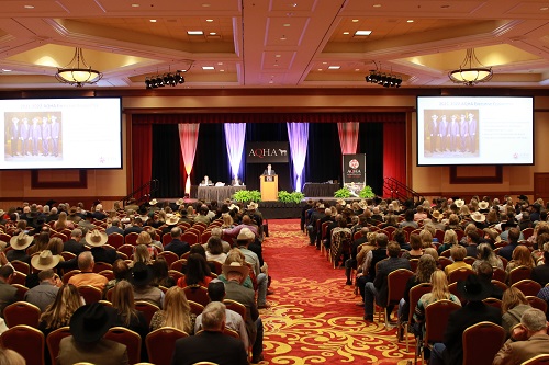 2023 AQHA Convention Reminders