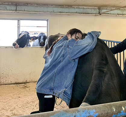 Community Invites Students to Spend Time with Animals in Aftermath of MSU Mass Shooting