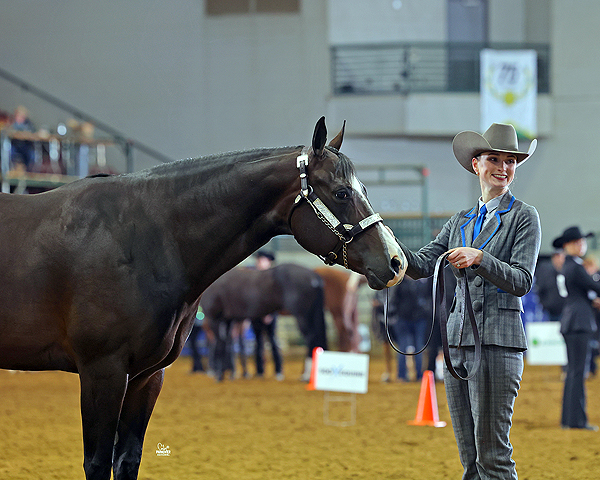 Around the Rings Photos and Results – 2023 Dixie National QH Show