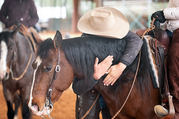 Around the Rings Photos – 2023 SCQHA Cattle Classic