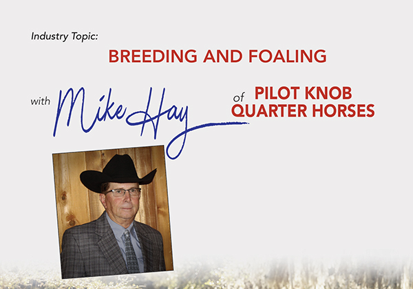 Breeding and Foaling with Mike Hay