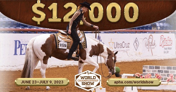 $12,000 Added for Trail Maze Masters at the 2023 APHA World Show