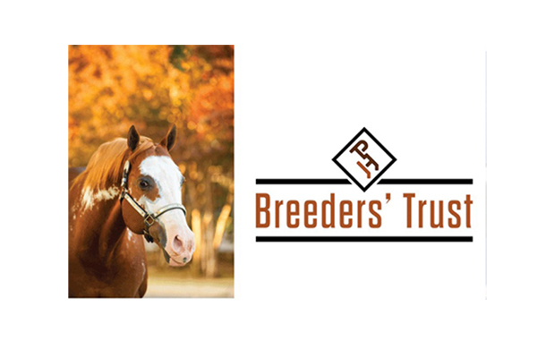 Zippos Sensation & Call Me A Cowboy Top Breeders’ Trust Charts for 2022