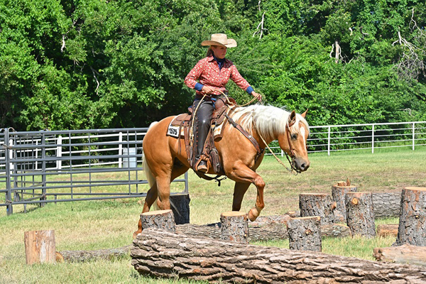 Everything You Need to Know About the 2023 Versatility Ranch Horse World Championships