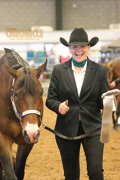EC Asks the Exhibitor: AQHA L1 FAQs