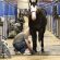 Horse Show End-of-Day Care Routines