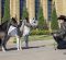 From Superhorse to Mini Horse From Superhorse to Mini Horse
