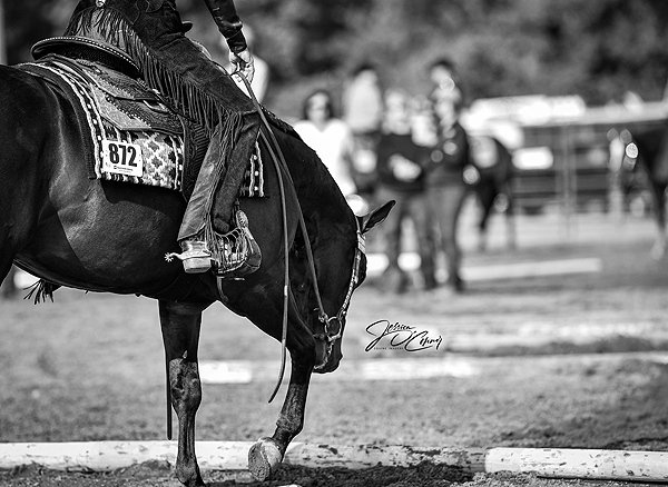 Around the Rings – VQHA Virginia National Stock Show