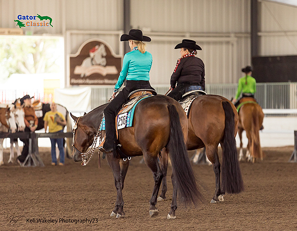 Around the Rings – 2023 Florida Color Horse Club Gator Classic