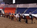 Around the Rings – 2023 All American Youth Horse Show
