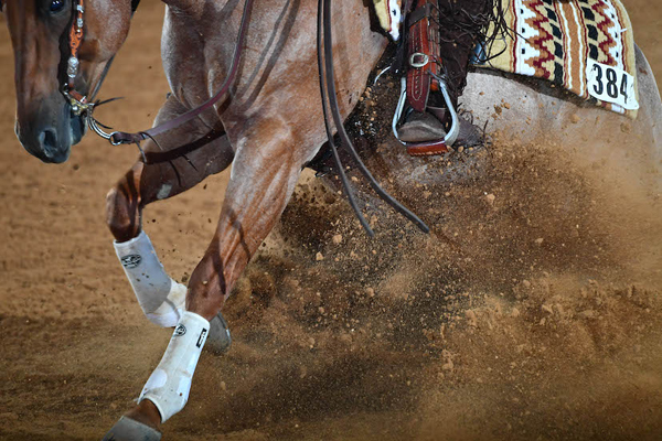 2023 Farnam AQHA World Championship Show Changes