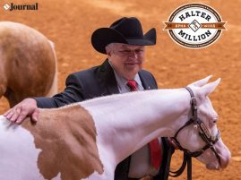 2023 APHA/WCHA Halter Million Schedule Is Online