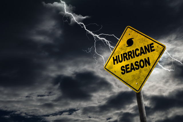 Tips for Horse Owners to Prepare for Hurricanes