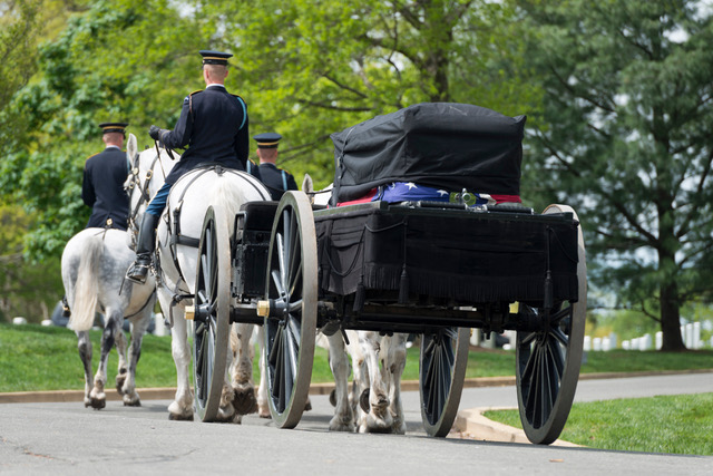 Horses at Arlington National Cemetery Will Be Suspended for a Year for Rehab