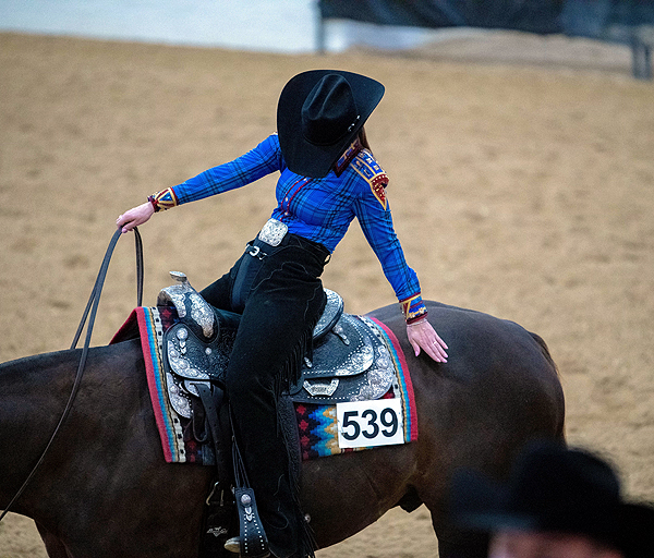 Around the Rings – APHA Zone 2 Photos and Results