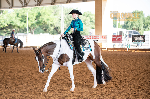 Around the Rings – 2023 APHA World Championship Show