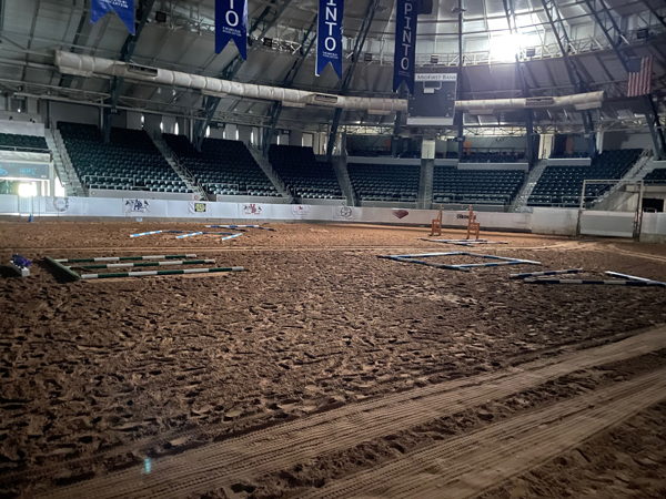 The Day After – A Reflection on the 2023 Pinto World Championship Show