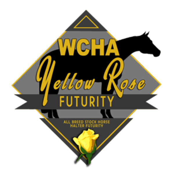 WCHA Yellow Rose “All Breed” Halter Futurity at 2023 Pinto World